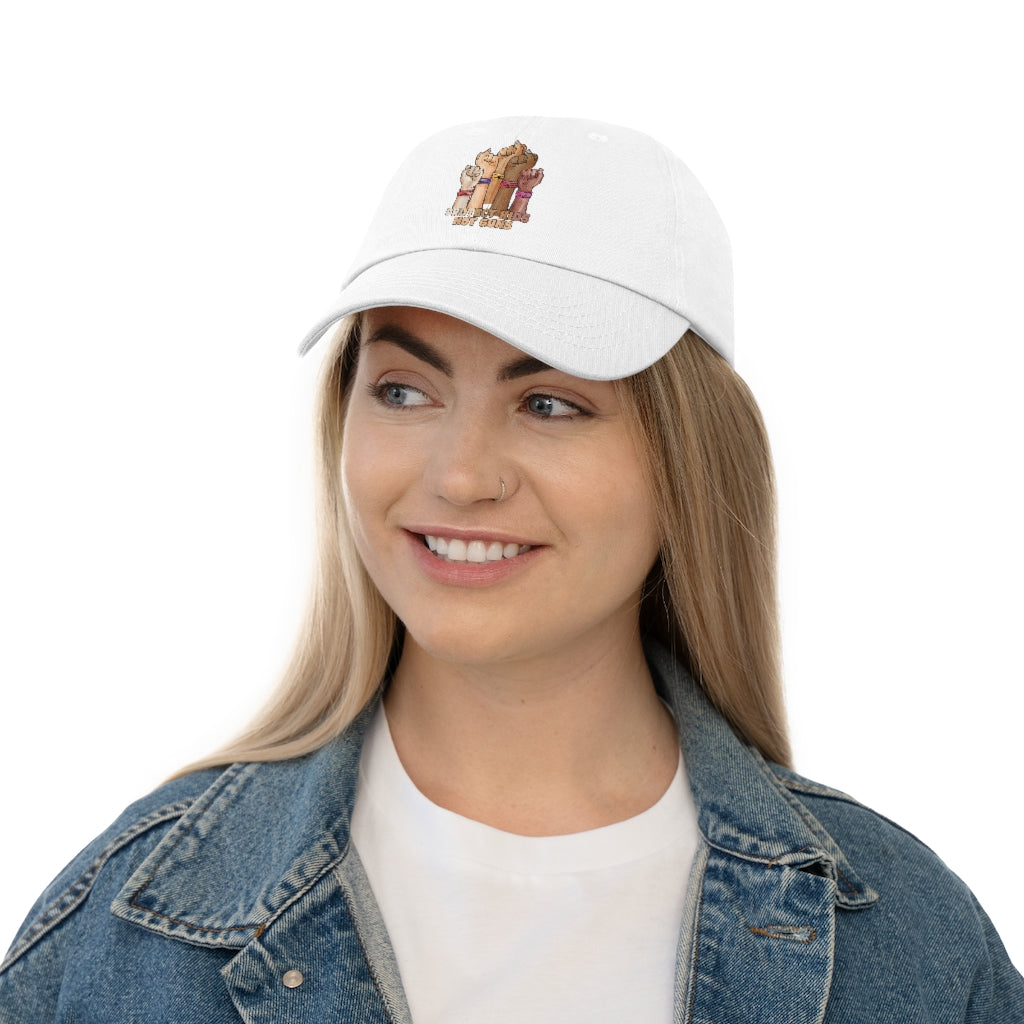 Protect Kids Not Guns Baseball Cap to protest gun violence against children in schools